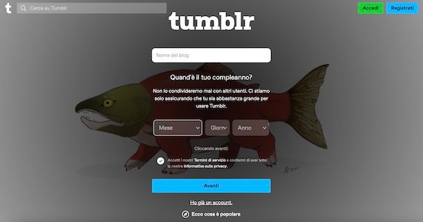 Tumblr
