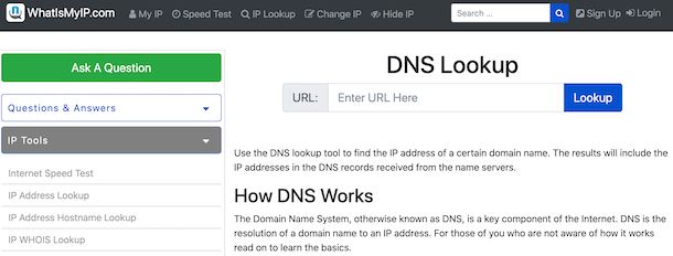 DNS lookup WhatIsMyIP