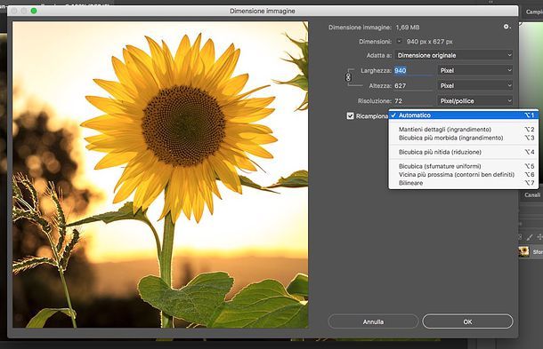 Come ridimensionare un’immagine con Photoshop