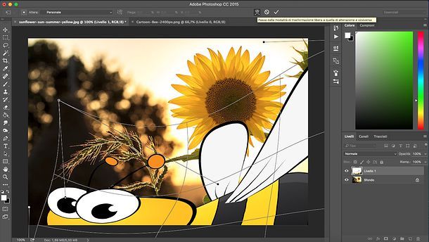 Come ridimensionare un’immagine con Photoshop