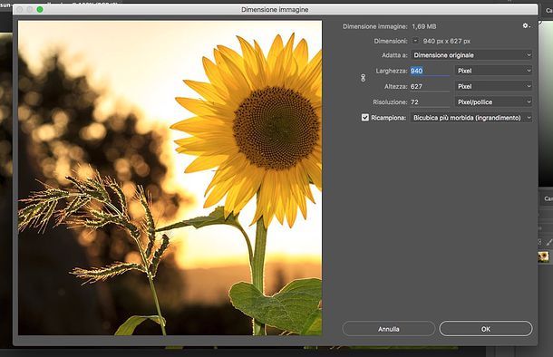 Come ridimensionare un’immagine con Photoshop