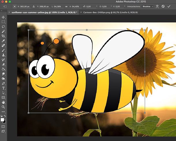 Come ridimensionare un’immagine con Photoshop