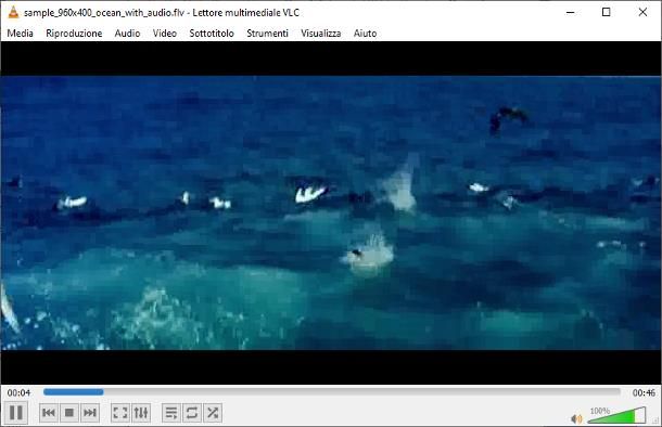 Come installare Adobe Flash Player