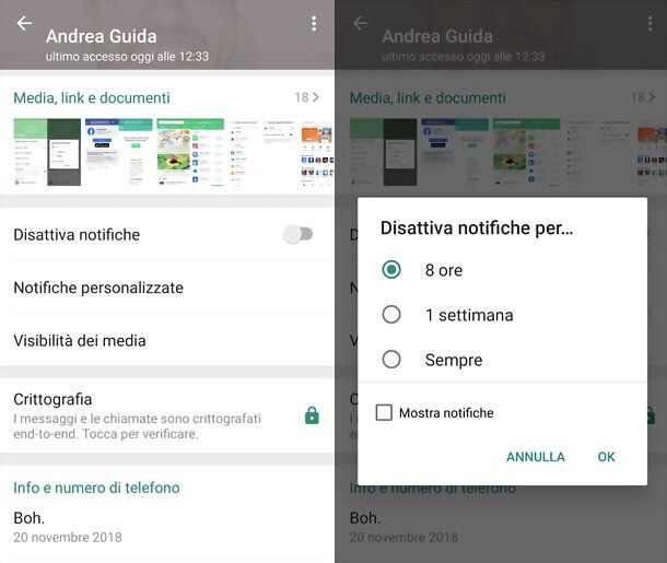 Come silenziare un contatto su WhatsApp: Android