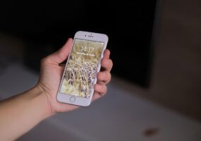 Applicazione per sfondi