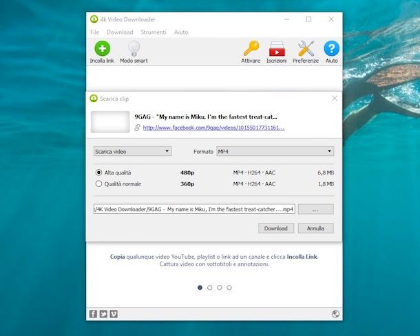 4K Video Downloader