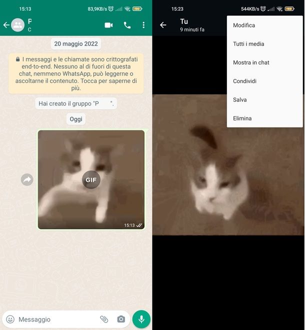 Salvare GIF da WhatsApp Android