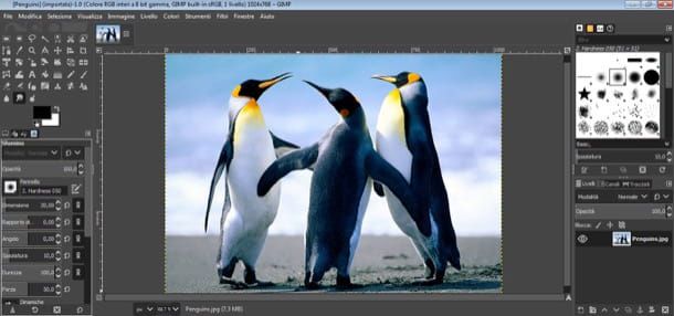 Applicazioni per migliorare le foto GIMP