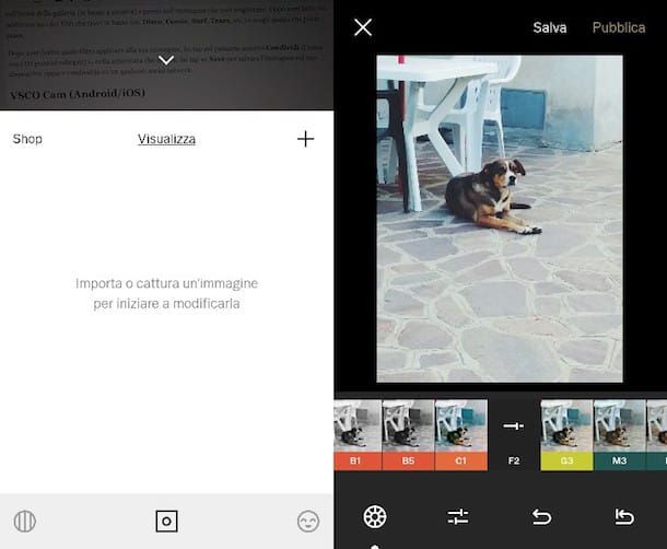 Applicazioni per migliorare le foto VSCO