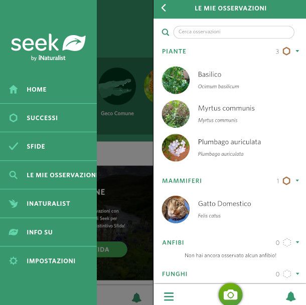 osservazioni app seek