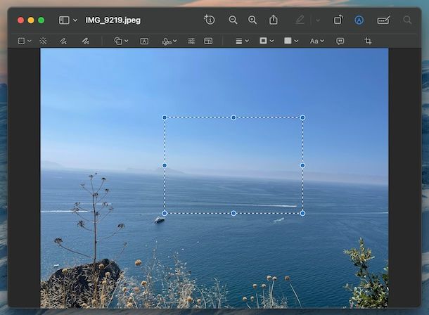 Anteprima macOS