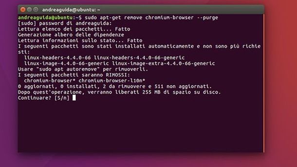 Rimozione dei file residui Linux Chromium