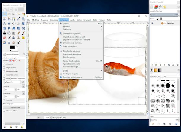 Programmi per ritagliare foto gratis in italiano