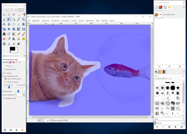 Programmi per ritagliare foto gratis in italiano