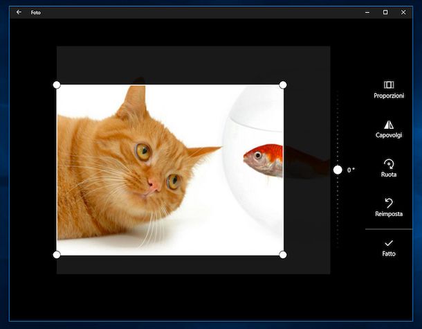 Programmi per ritagliare foto gratis in italiano