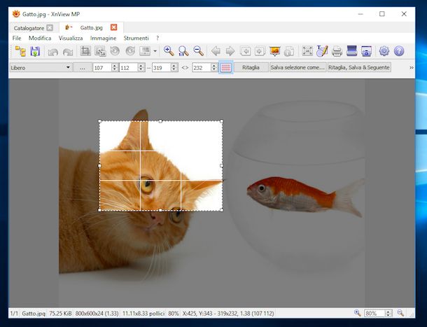 Programmi per ritagliare foto gratis in italiano