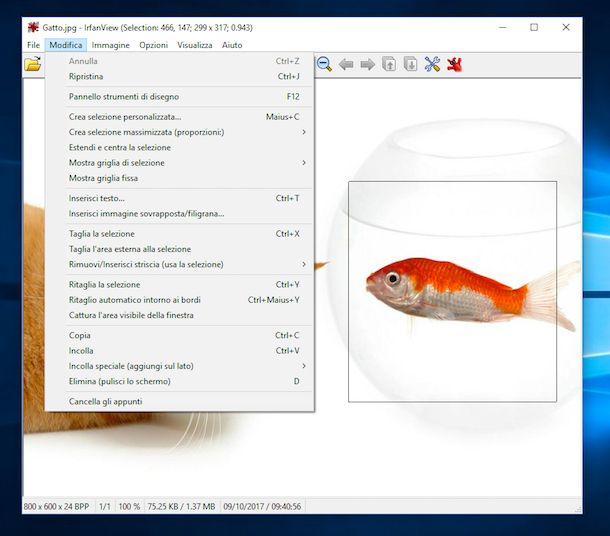 Programmi per ritagliare foto gratis in italiano