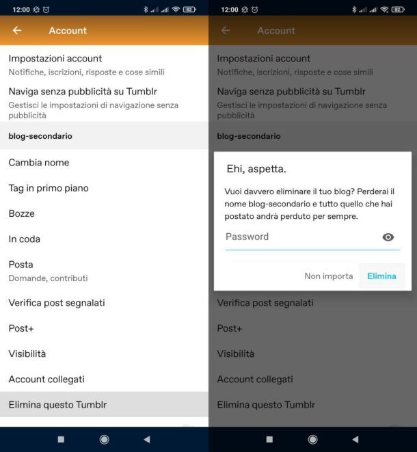 Eliminare blog Tumblr secondario da Android