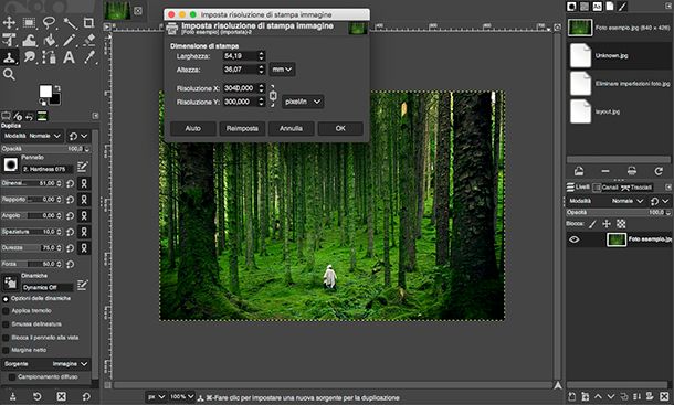 Come ingrandire una foto su GIMP