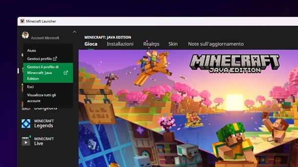 Come cambiare nome su Minecraft Java