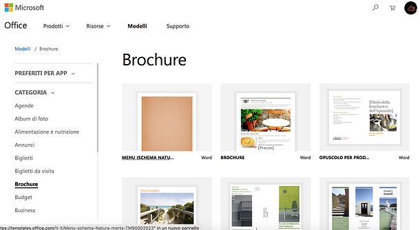 Brochure Word online