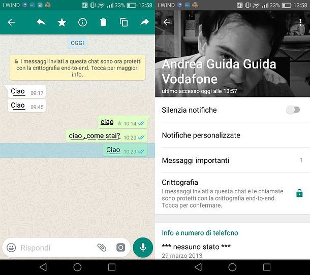 Messaggi importanti WhatsApp