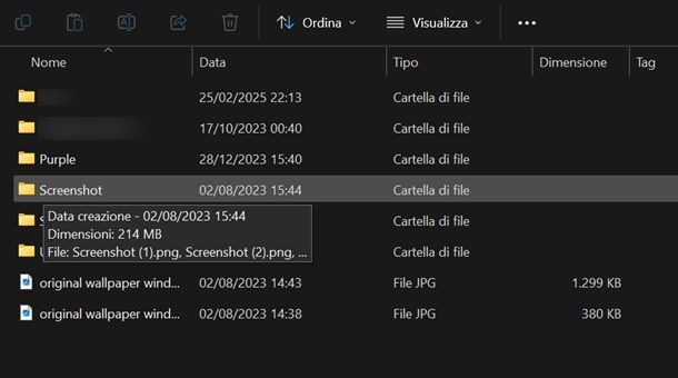 Come vedere dimensione delle cartelle su Windows