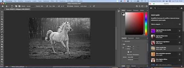 Photoshop