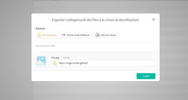 Come distribuire file sul Web