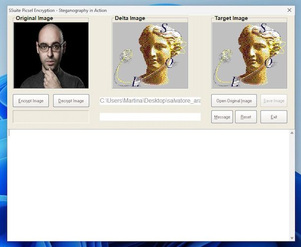 SSuite Picsel Encryption
