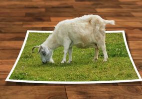 Come sovrapporre due foto