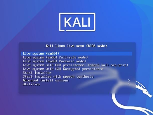 Come installare Kali Linux su chiavetta USB