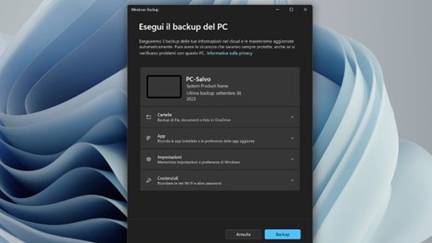 Backup PC sicurezza