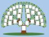 Come fare un albero genealogico al computer