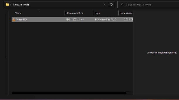 Anteprima video FLV non disponibile Windows 11