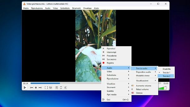 Come cambiare audio a un video con VLC