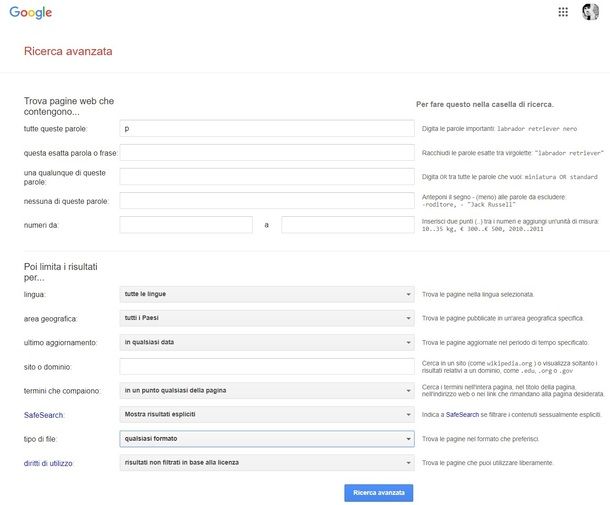 Cercare file su Google