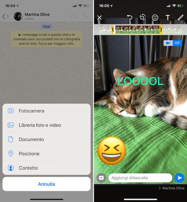 Come mandare GIF su WhatsApp iPhone