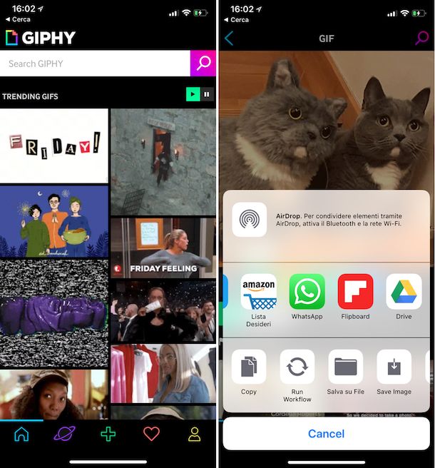 Come mandare GIF su WhatsApp iPhone