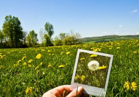 Come ridimensionare un’immagine
