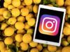 Come scaricare Instagram su iPad