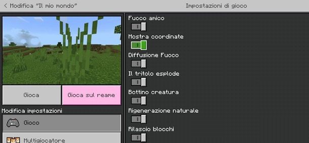 Mostra coordinate Minecraft