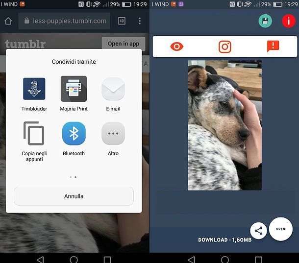 Come scaricare video da Tumblr con Android