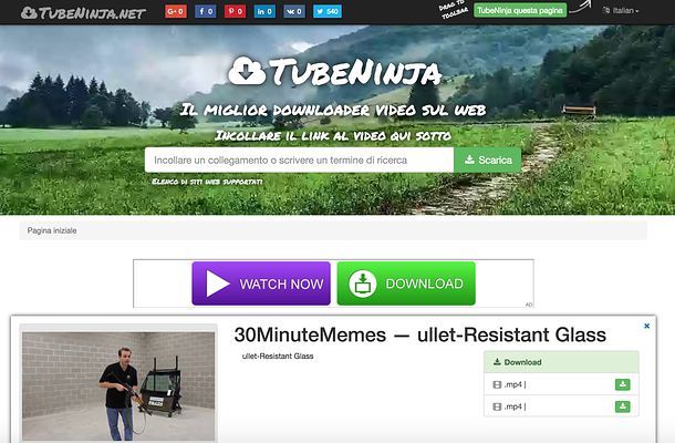 TubeNinja