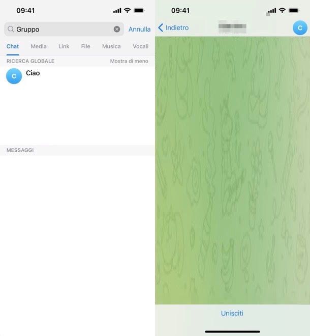 Gruppo Telegram iOS
