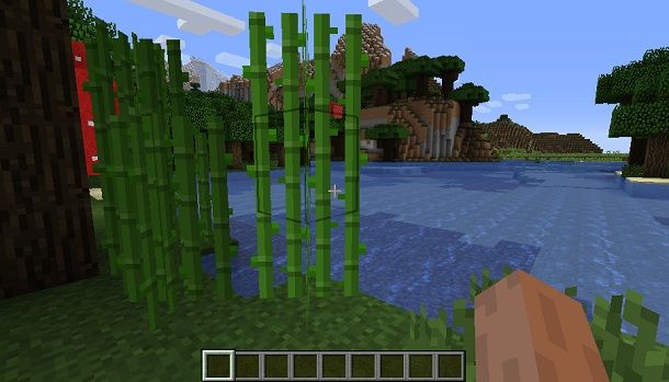 Come fare la carta su Minecraft