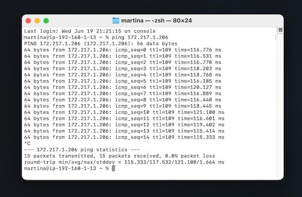 Ping test macOS