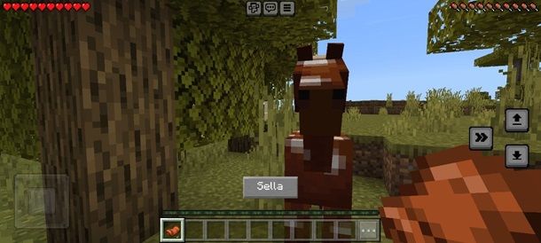 Come addomesticare un cavallo su Minecraft Bedrock