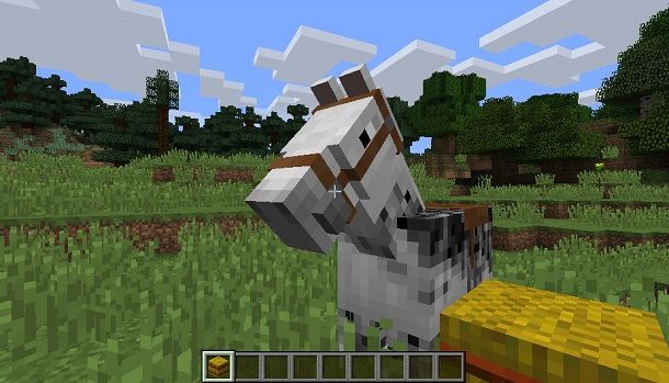 cavallo sellato minecraft