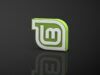 Come installare Linux Mint